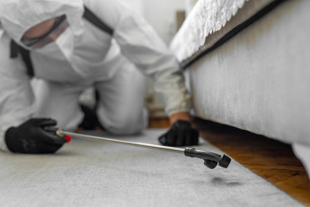 Professional Pest Control technician working in Kincaid, IL