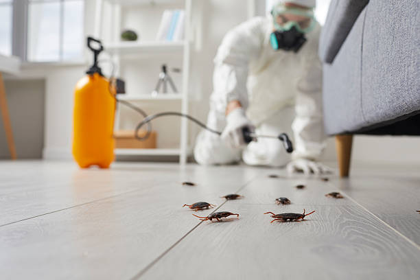 Trusted Bed Bug Control service in Kincaid, IL - Nex Pest Control