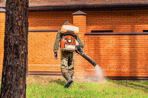 Trusted Cockroach Control service in Kincaid, IL - Nex Pest Control